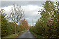 Looking north along the farm track to Lower Westfields Farm, Harbury