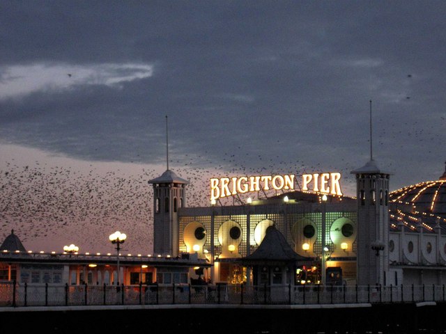 Brighton Pier and Starlings
