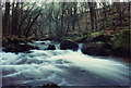 Golitha Falls 1989