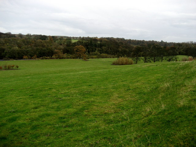 The Tees Valley at Mortham