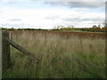 View across the fields S of Down Ampney