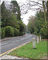 View north-east along The Street in Brooke