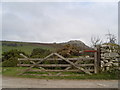 Old gate with Sharp Tor in the background