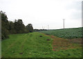 Public footpath north from The Ling