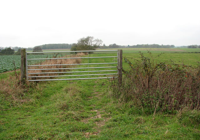Gate into cattle pasture