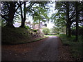 Driveway to Torrisdale Castle