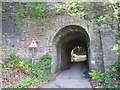 Very low bridge, Blackwood