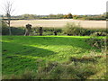 Looking W across fields from church