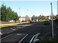 Middle Park Way in the autumn