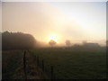 Misty Morning near Crieff