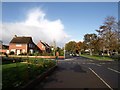 Topsham Road, Lower Wear