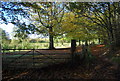 Gate on the edge of Hurst Wood