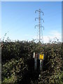 SU7009 : Pylon a seen from Park lane by Basher Eyre