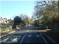 TQ4173 : Mottingham Lane, Mottingham by Stacey Harris