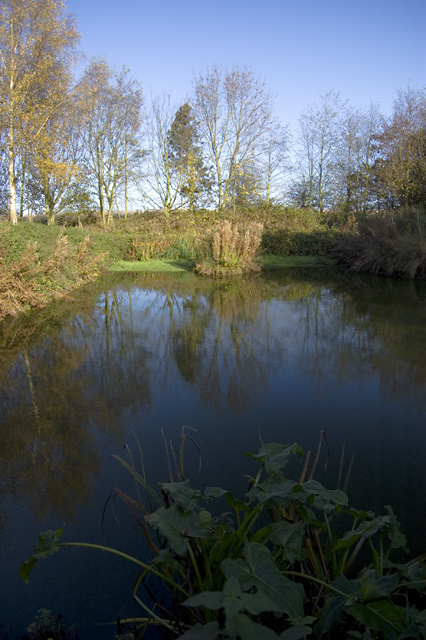 Pond near Preston (E Yorks)