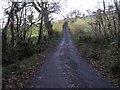 Country road and bridge over small stream