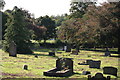 Wilnecote Old Cemetery  (12)