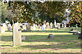 Wilnecote Old Cemetery  (14)