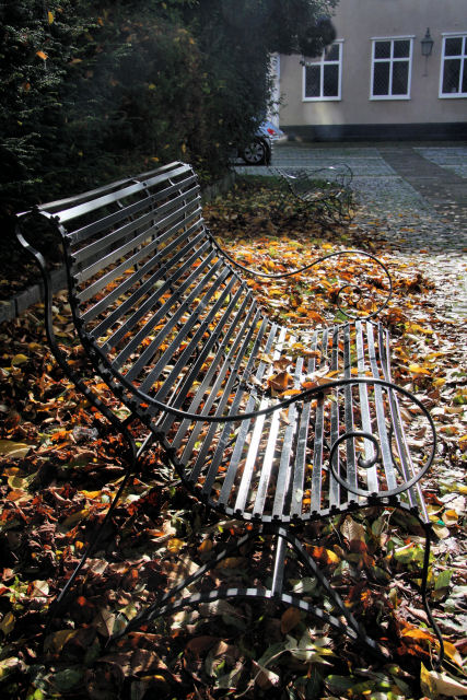 Autumn Leaves At The Unitarian Meeting Bob Jones Cc By Sa Geograph Britain And Ireland