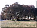 Cumbernauld, Antonine Wall