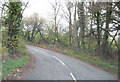 Bend in road above Tynrhos