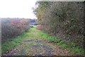 Track to Beaumont Barns