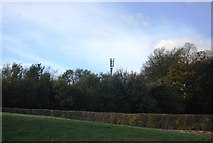 TQ5953 : Telecommunications Mast off Plaxtol Lane by N Chadwick