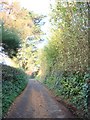 Churston Ferrers, private lane