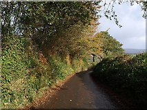 SX5856 : Lane to Venton by Derek Harper
