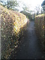 Path from Cherry Tree Avenue to Waterlooville Golf Club