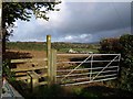 Stile and gate, Venton Cross