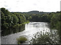 The River Tyne upstream of Bywell Bridge (2)