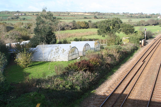 Polytunnels beside the railway in Gitchell Lane.