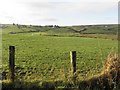 Carnanfansy Townland