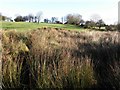 Glenhull Townland