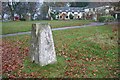 Trig Point at Beacon Hill.