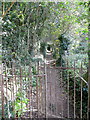 Footpath into Alton Court Wood