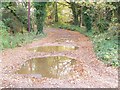 Bridleway, Shortheath Common