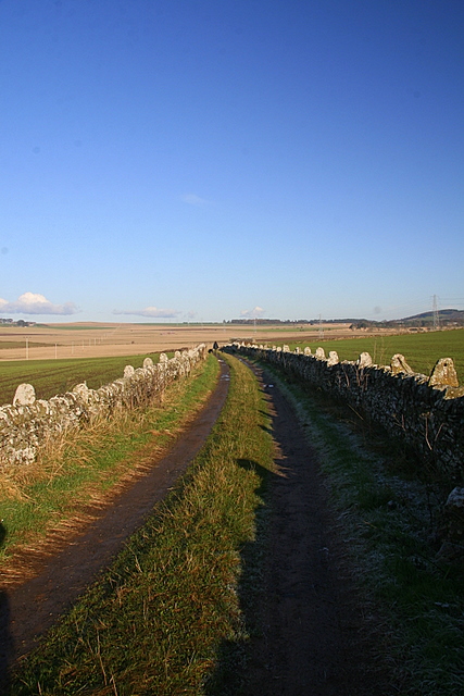 Dry stone Wall, Wester Meathie