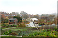 Radford Road allotments with Leam Terrace beyond