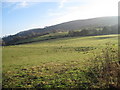 Farmland near Rallt