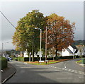 Two trees at junction of two tree roads, Sebastopol