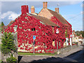 Vine covered houses, Curry Rivel