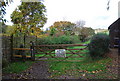 Gate on the 1066 Country Walk