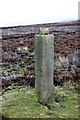 NZ6004 : Ancient Way Marker, Ingleby Moor by Paul Buckingham