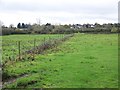 Fields near Great Hinton