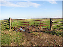 TG4200 : Gate into marsh pasture at the end of Slip Road by Evelyn Simak