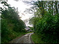 Down the lane to the loch