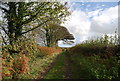 Track east from Little Worsham Farm