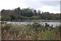 Lake near Pebsham Farm